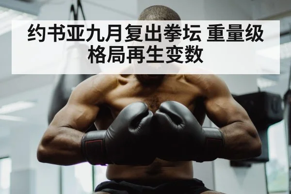 约书亚九月复出拳坛 重量级格局再生变数